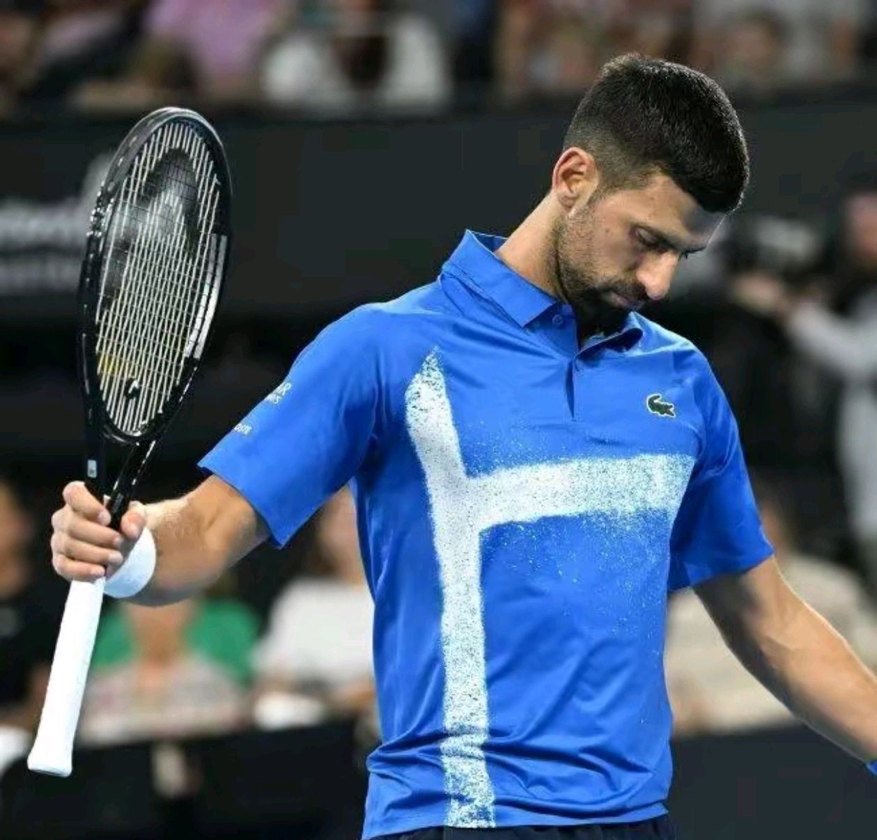 开云体育官网-包含英国网球队绝杀欧洲网球队，德约科维奇统治全场的词条