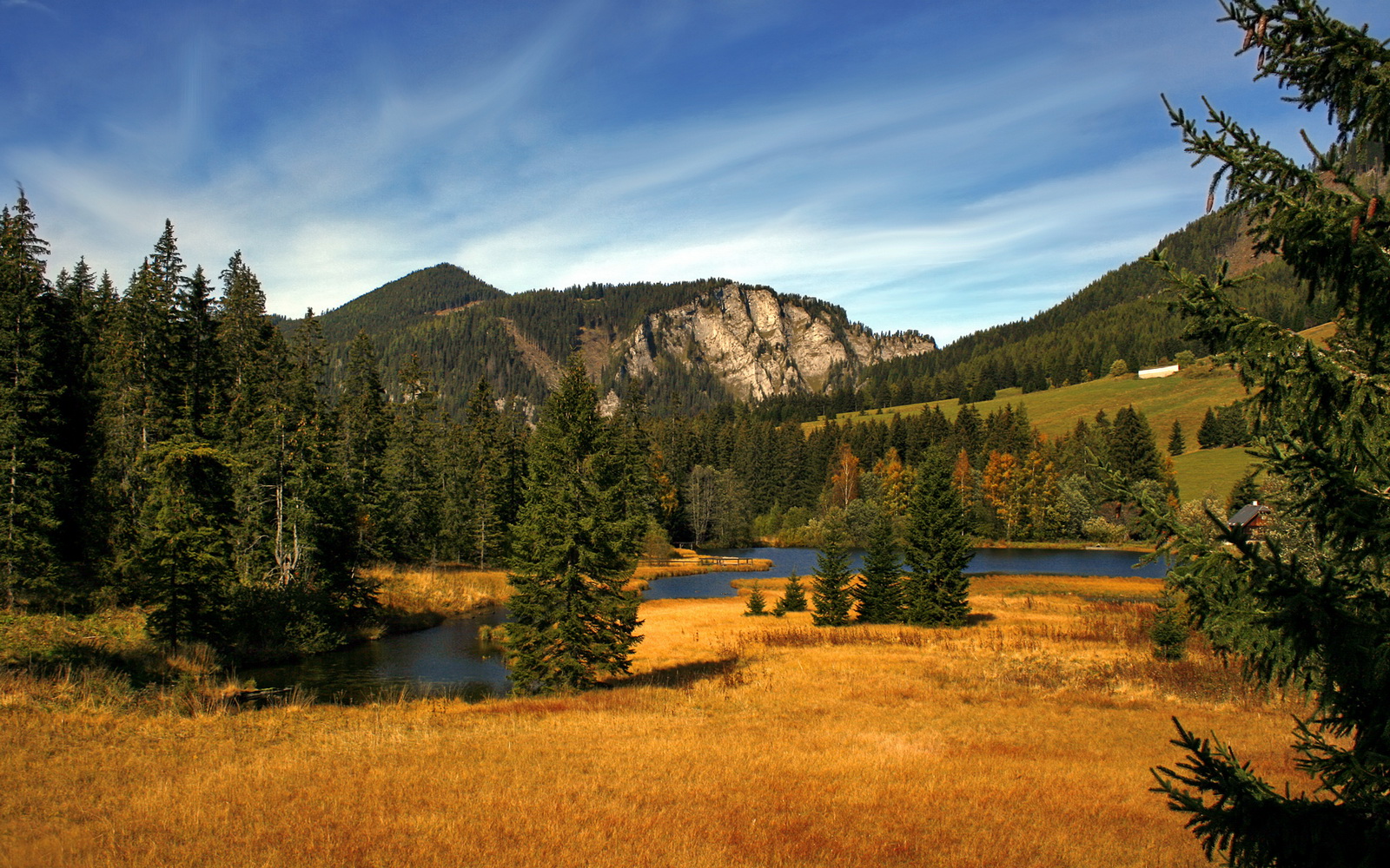 两种篮球未来，浙江队如何以节奏勇士智慧，映照字母哥的接管艺术